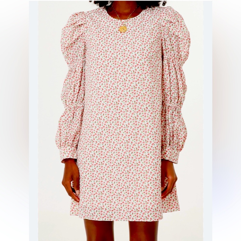Tuckernuck Pink Floral Mini Dress with Puff Sleeves